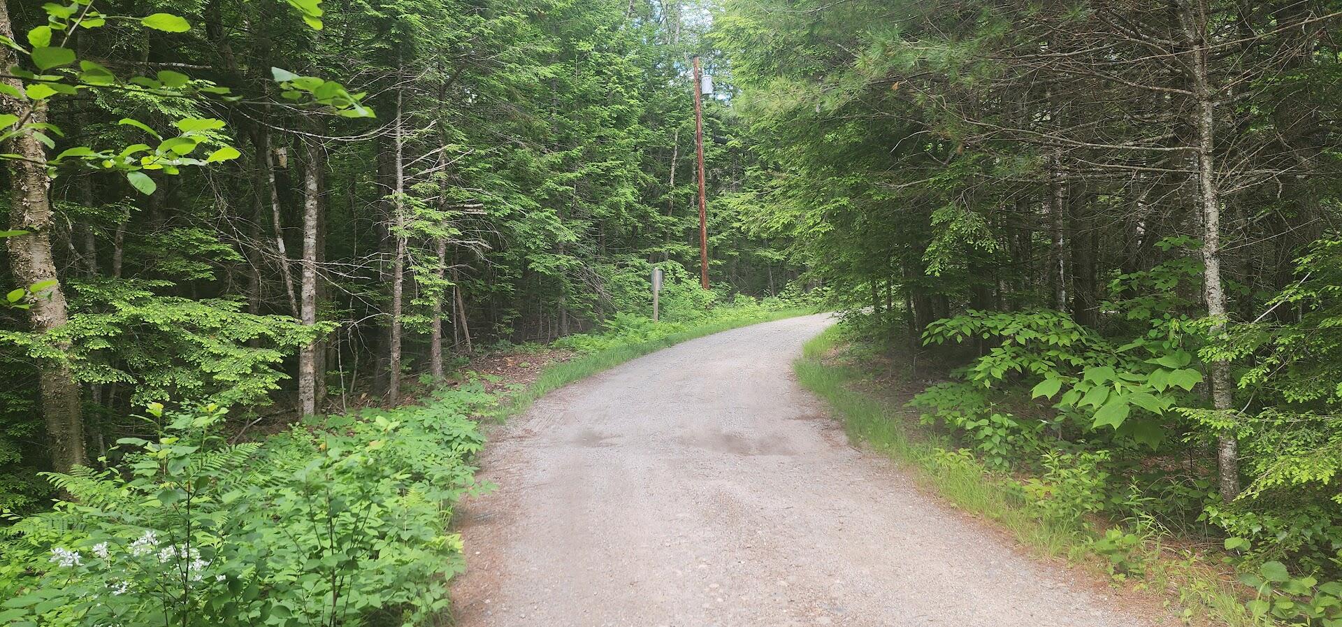 Off Springy Pond Road Eddington, ME 04428 - Photo 12 of 25 20240613_102012