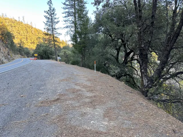 a view of a dry yard with large trees