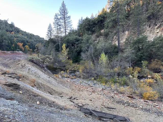 a view of a dry yard with trees and mountains in the back