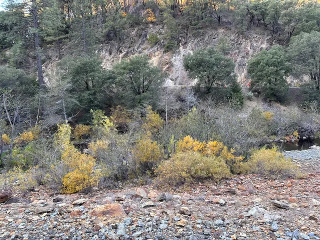 a view of a dry yard