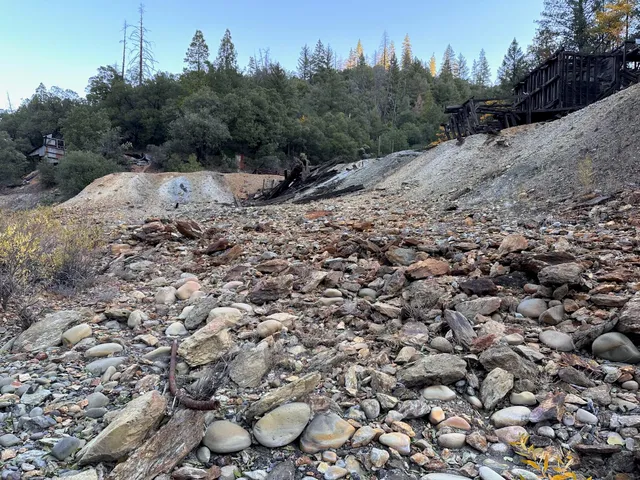 a view of a dry yard