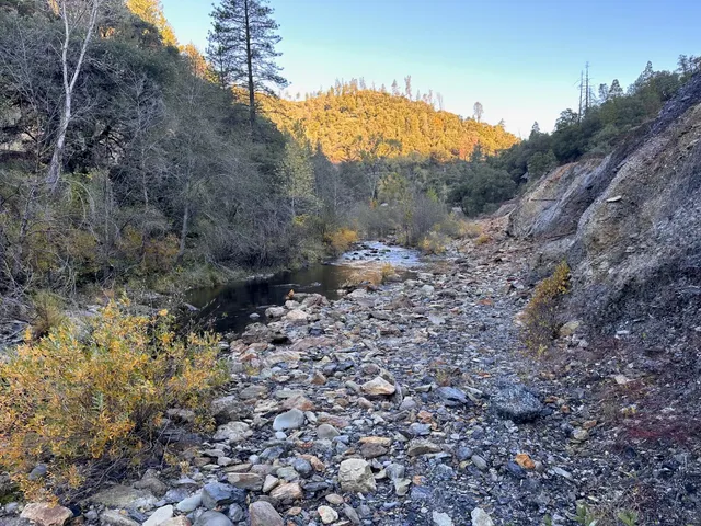 a view of a dry area with lots of bushes