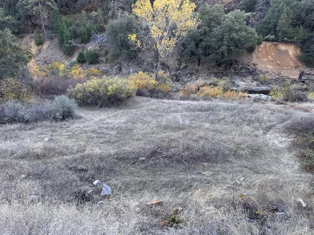 a view of a dry yard with green space