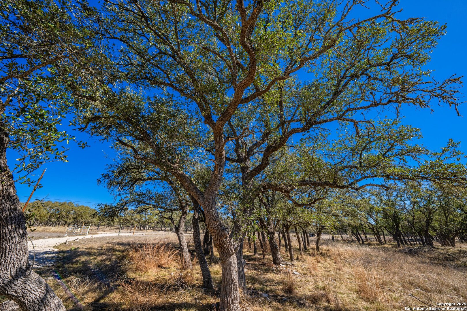 970 Kc 476 Harper, TX 78631 - Photo 5 of 33