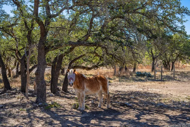 $264,000 | 970 Kc 476, Harper, TX 78631