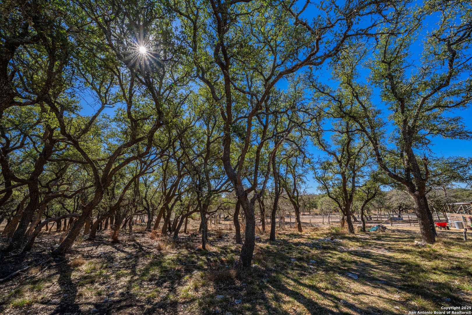 970 Kc 476 Harper, TX 78631 - Photo 9 of 33