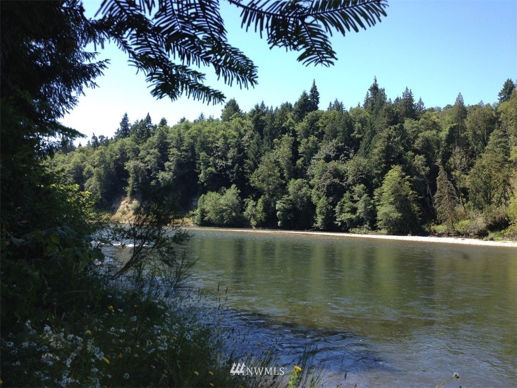 001 Collins Road Toledo, WA 98591 - Photo 1 of 24 Gallery Image 1
