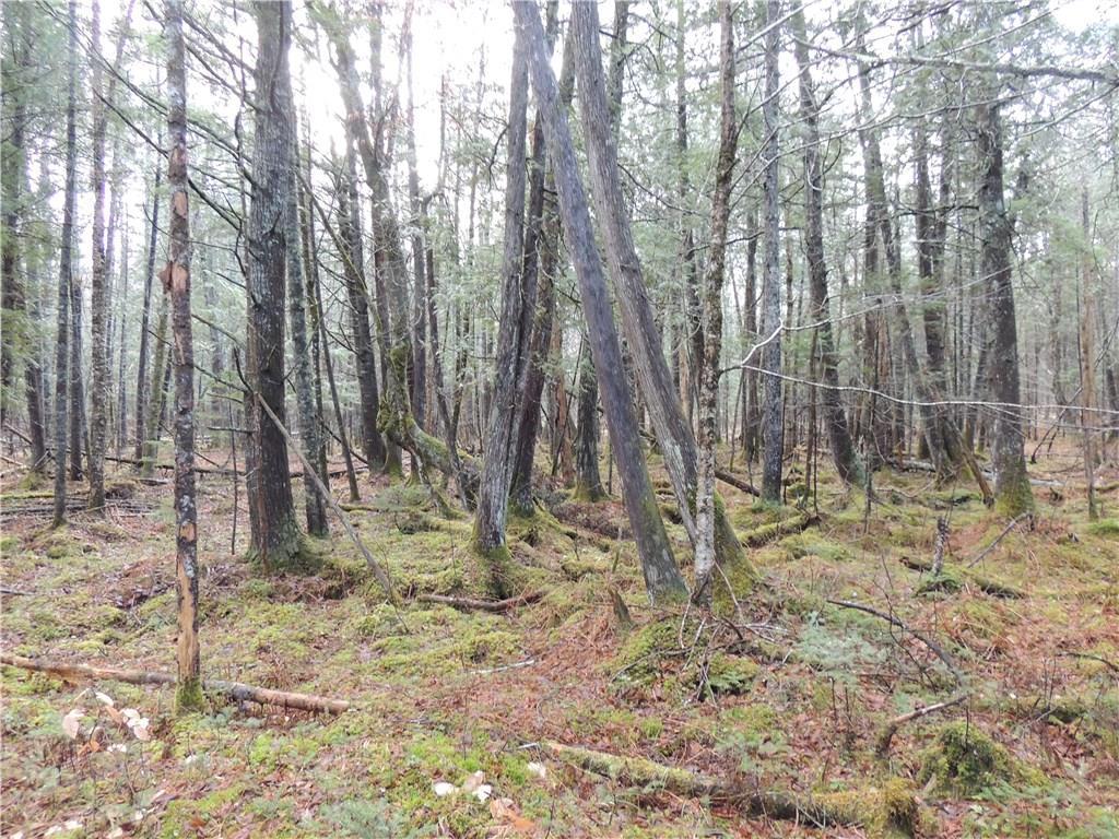 99 Longley Road Solon, ME 04979 - Photo 16 of 20 Photo