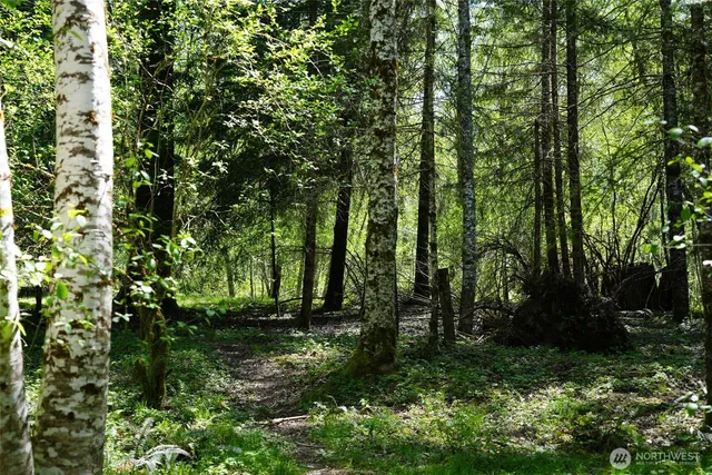 a backyard of a house with lots of green space and trees