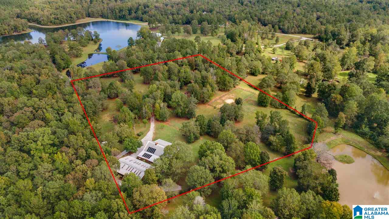 1645 County Road 153 Jemison, AL 35085 - Photo 48 of 50