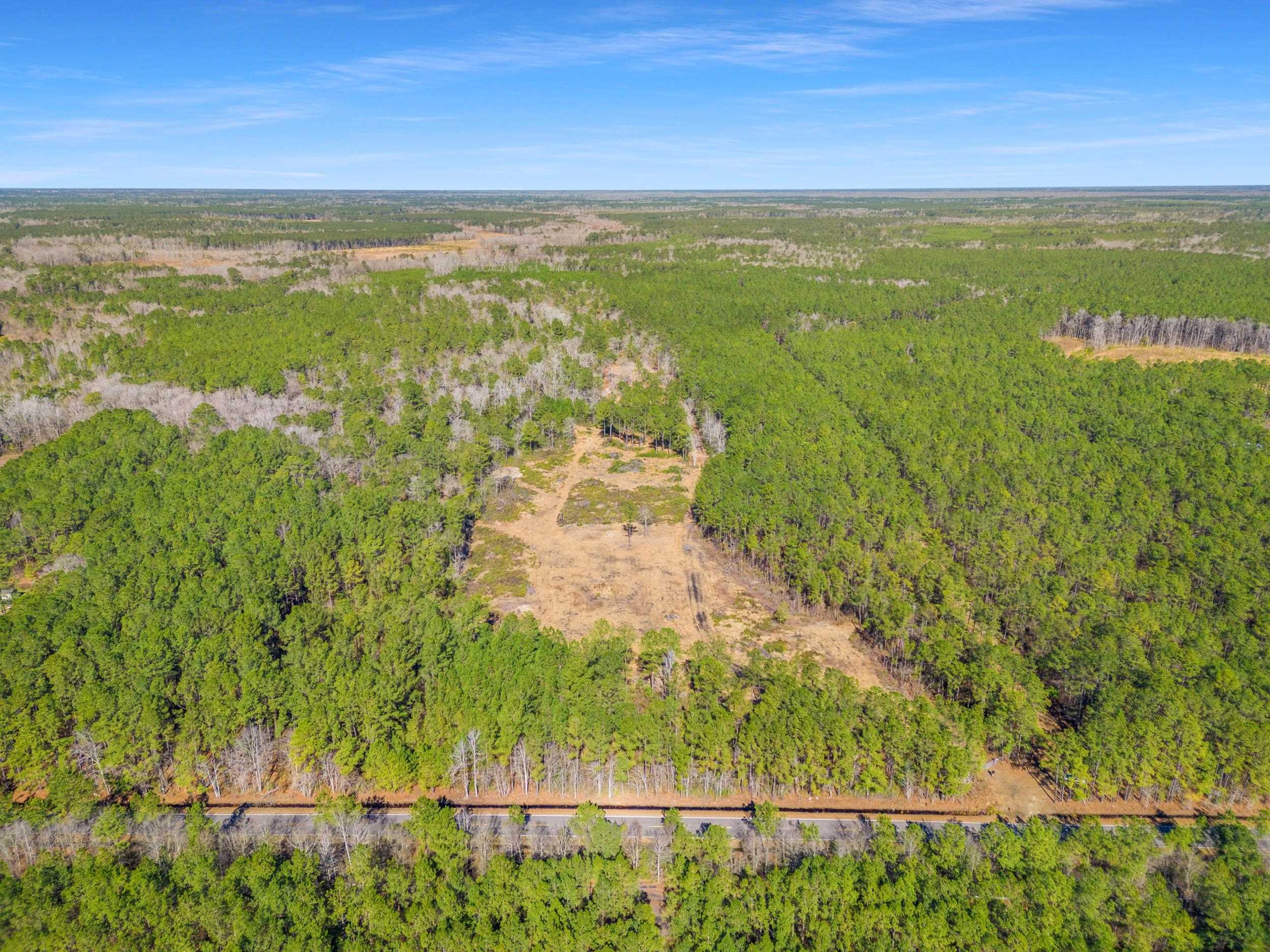 Tbd Williams Hill Road Hemingway, SC 29554 - Photo 16 of 27 Gallery Image 16