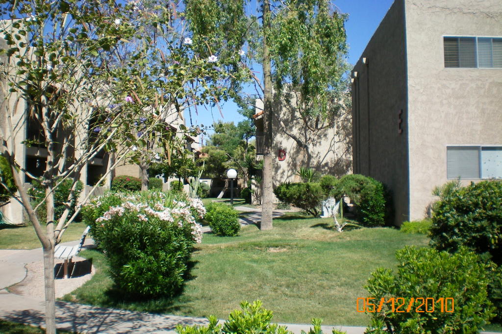 5525 East Thomas Road, Unit 15 Phoenix, AZ 85018 - Photo 2 of 4 Plush grounds