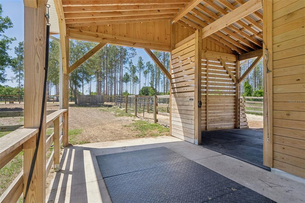 20701 County Road 44A Eustis, FL 32736 - Photo 21 of 73 a view of backyard with green space