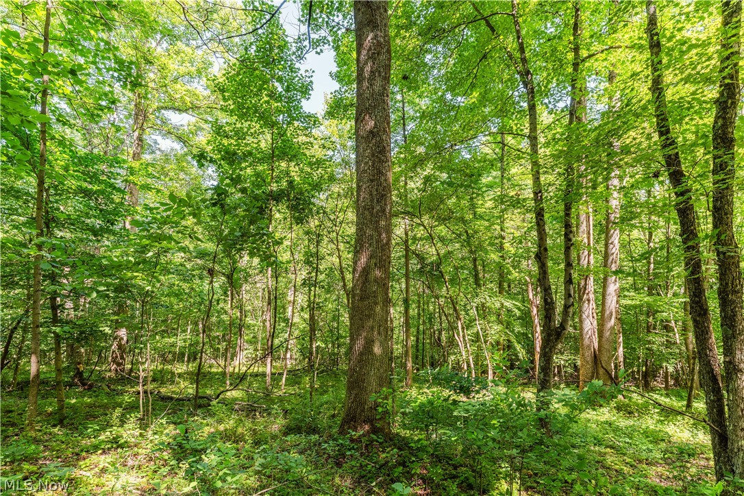 Norris Road Tippecanoe, OH 44699 - Photo 27 of 32