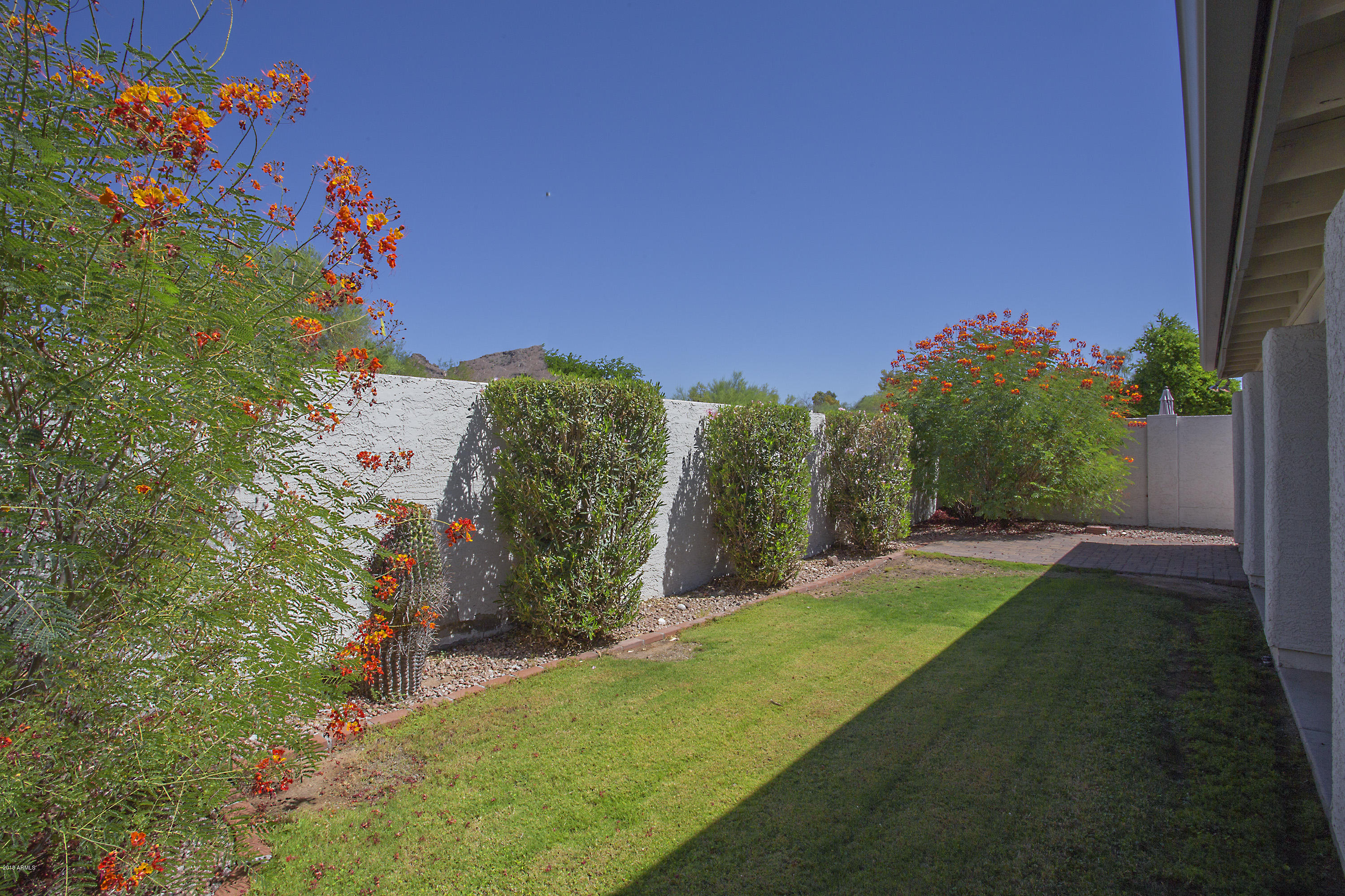 1228 East Redfield Road Phoenix, AZ 85022 - Photo 5 of 37 6