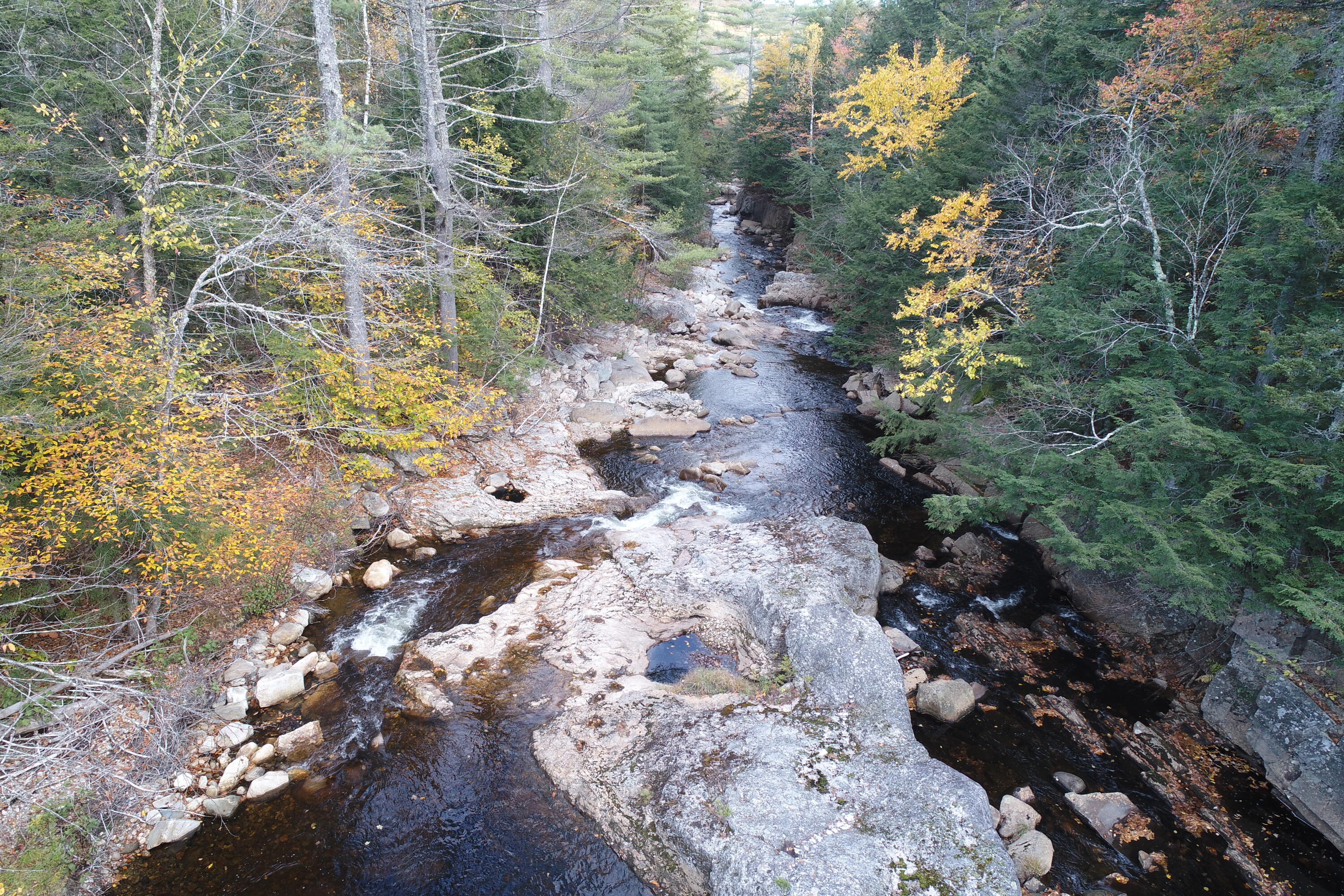 0 Bear River Road Newry, ME 04261 - Photo 7 of 34 DJI_0022