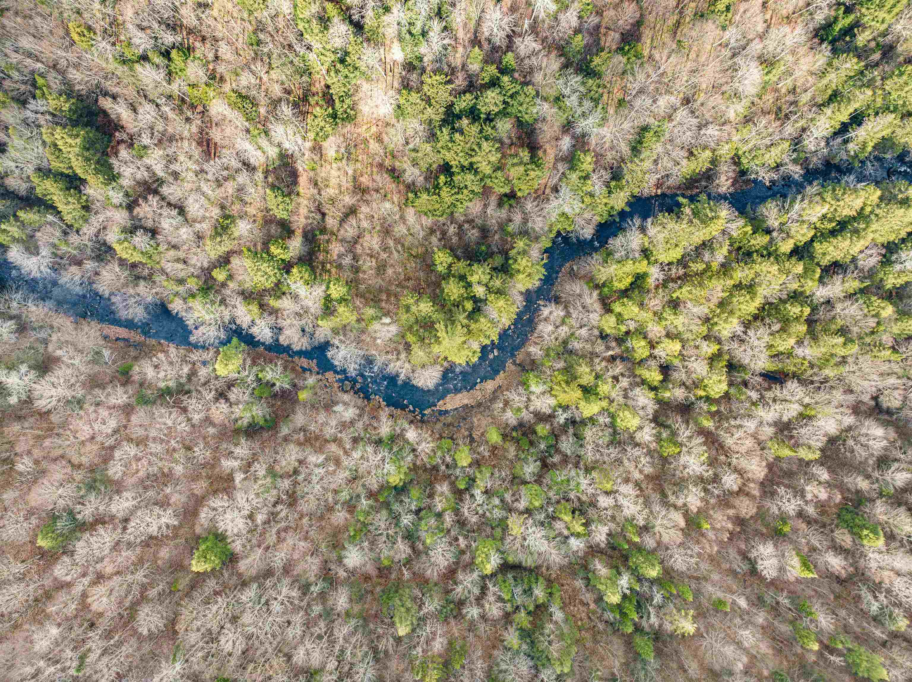 2256 Highway 109 Belvidere, VT 05442 - Photo 11 of 21