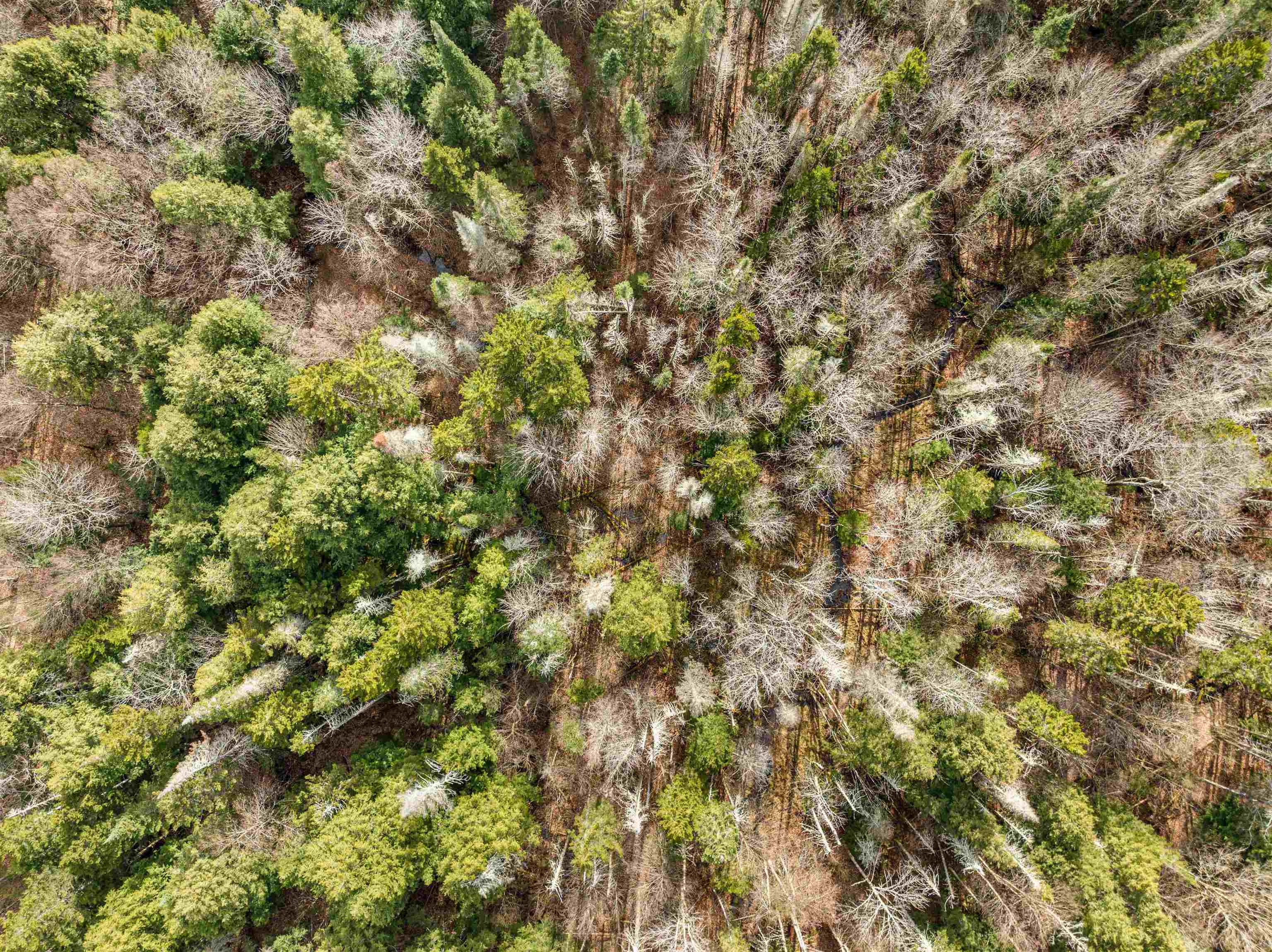 2256 Highway 109 Belvidere, VT 05442 - Photo 17 of 21