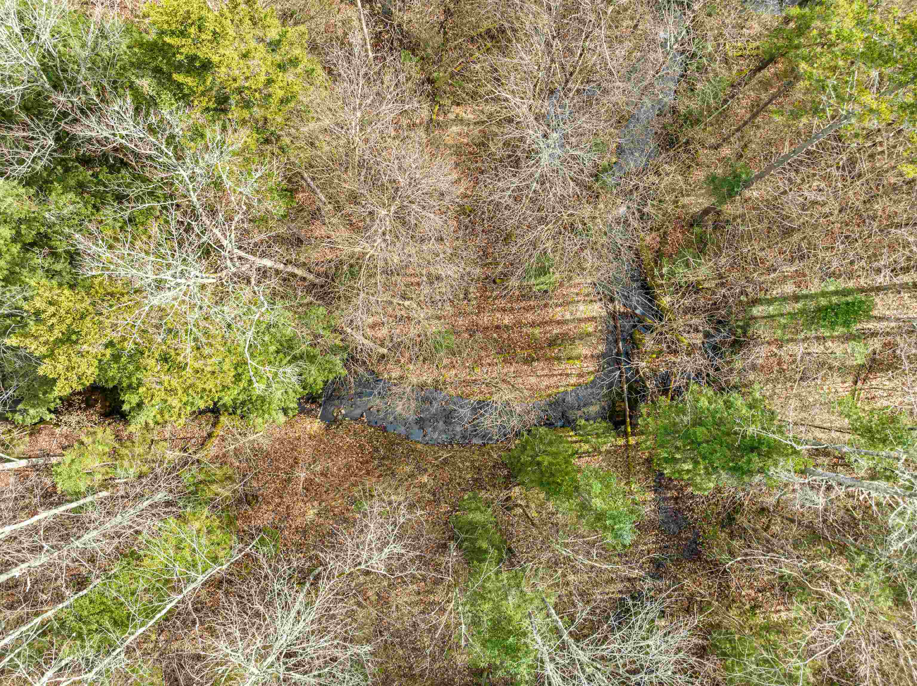 2256 Highway 109 Belvidere, VT 05442 - Photo 19 of 21