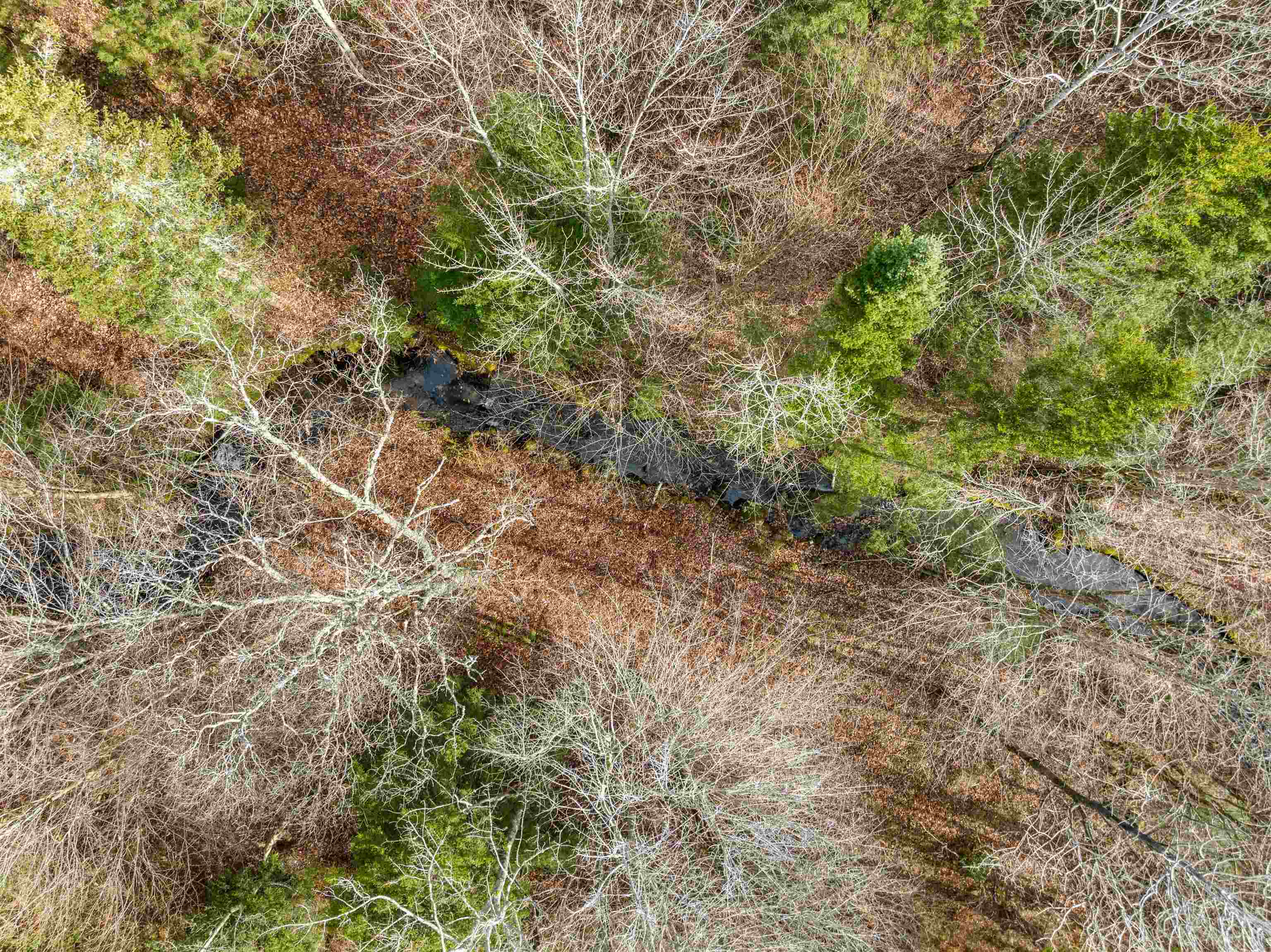 2256 Highway 109 Belvidere, VT 05442 - Photo 21 of 21