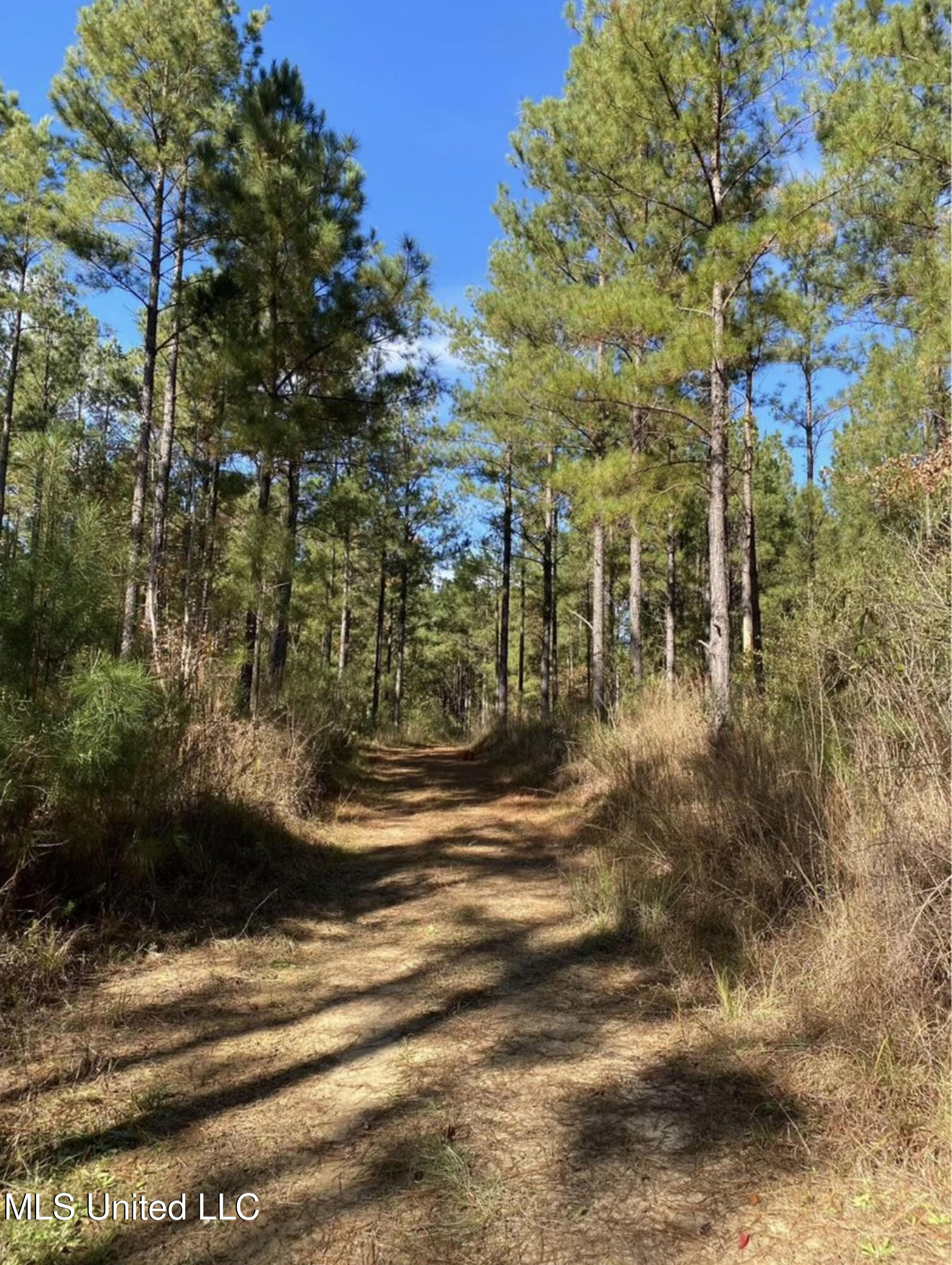 Shillings rd
