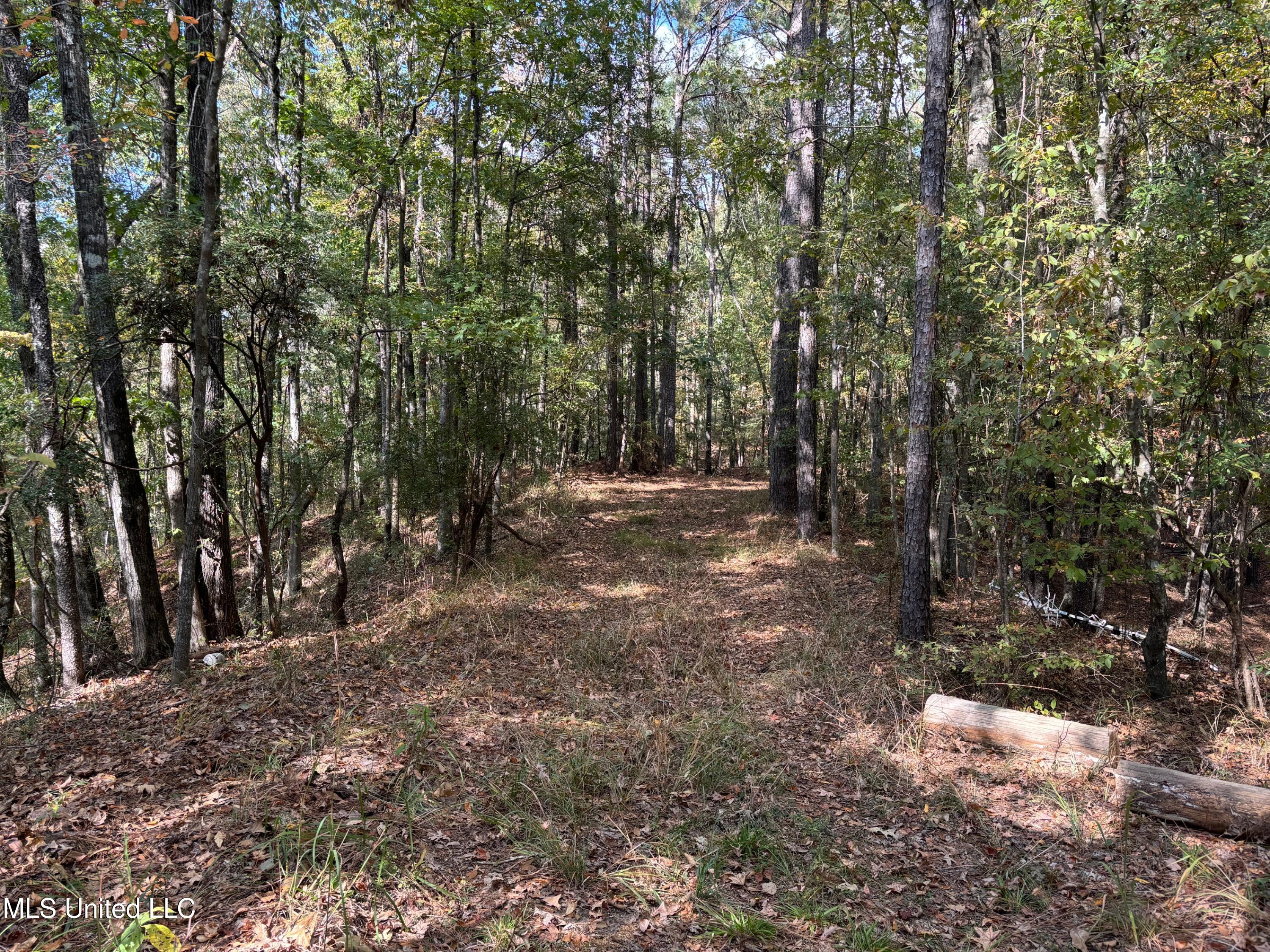 Hill Road Roxie, MS 39661 - Photo 10 of 33 IMG_0783