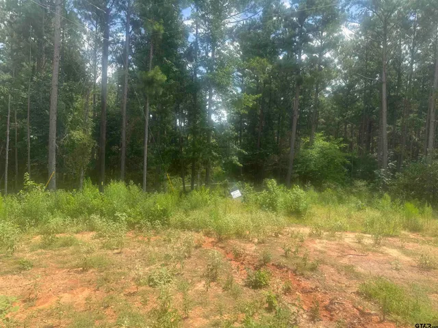 $135,000 | Lot 13 Pr 7949 Hawkins Tx 75765, Mineola, TX 75773