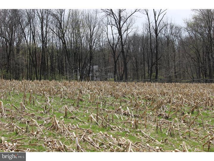 Lot 9 Emrey Ln Spring Spring City, PA 19475 - Photo 3 of 25