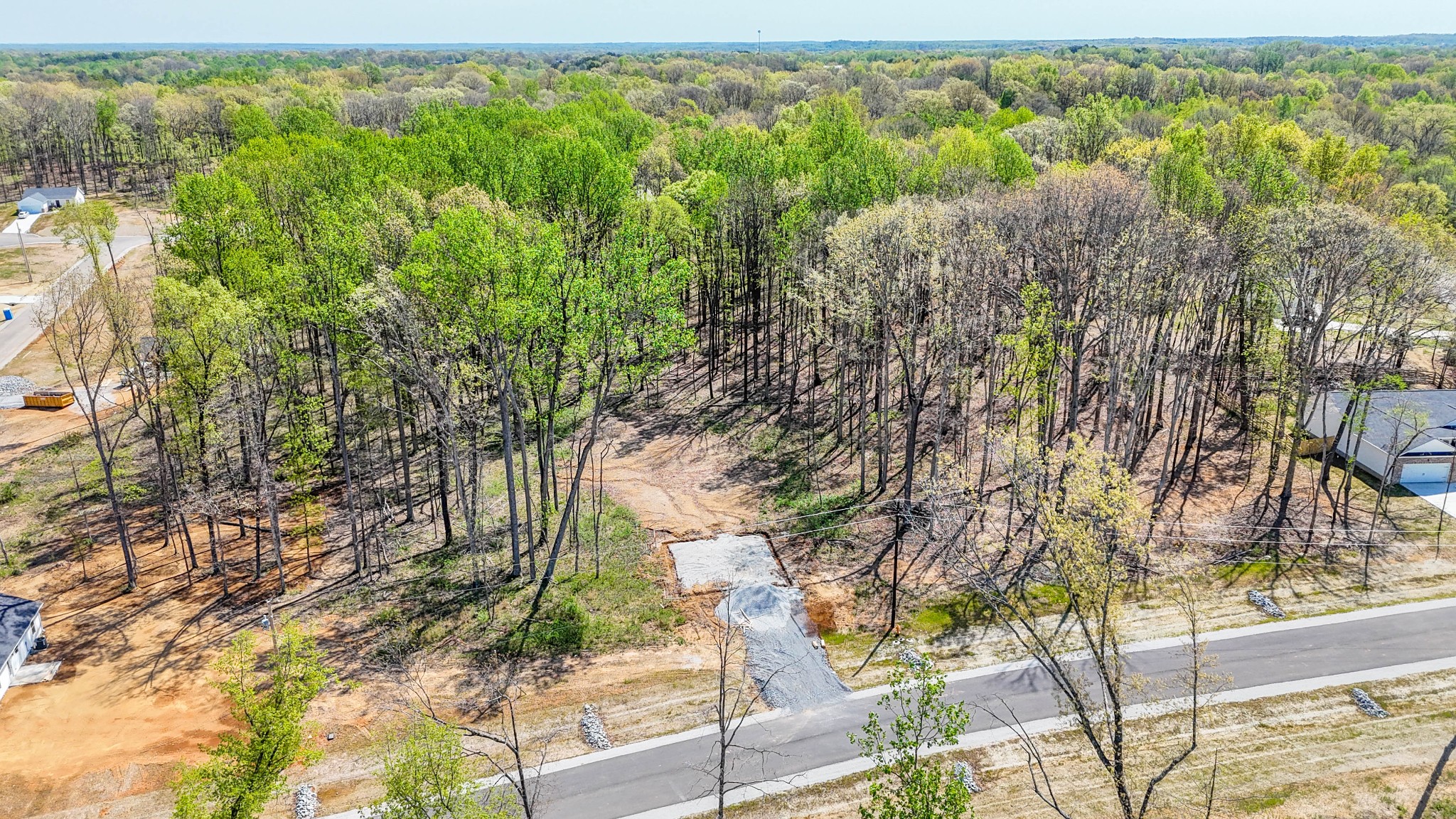 0 Poplar Way Dickson, TN 37055 - Photo 3 of 49 a view of a yard with plants