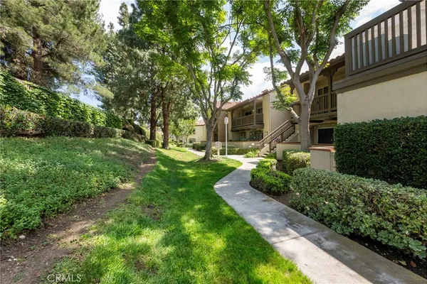 a view of a yard with plants and large trees