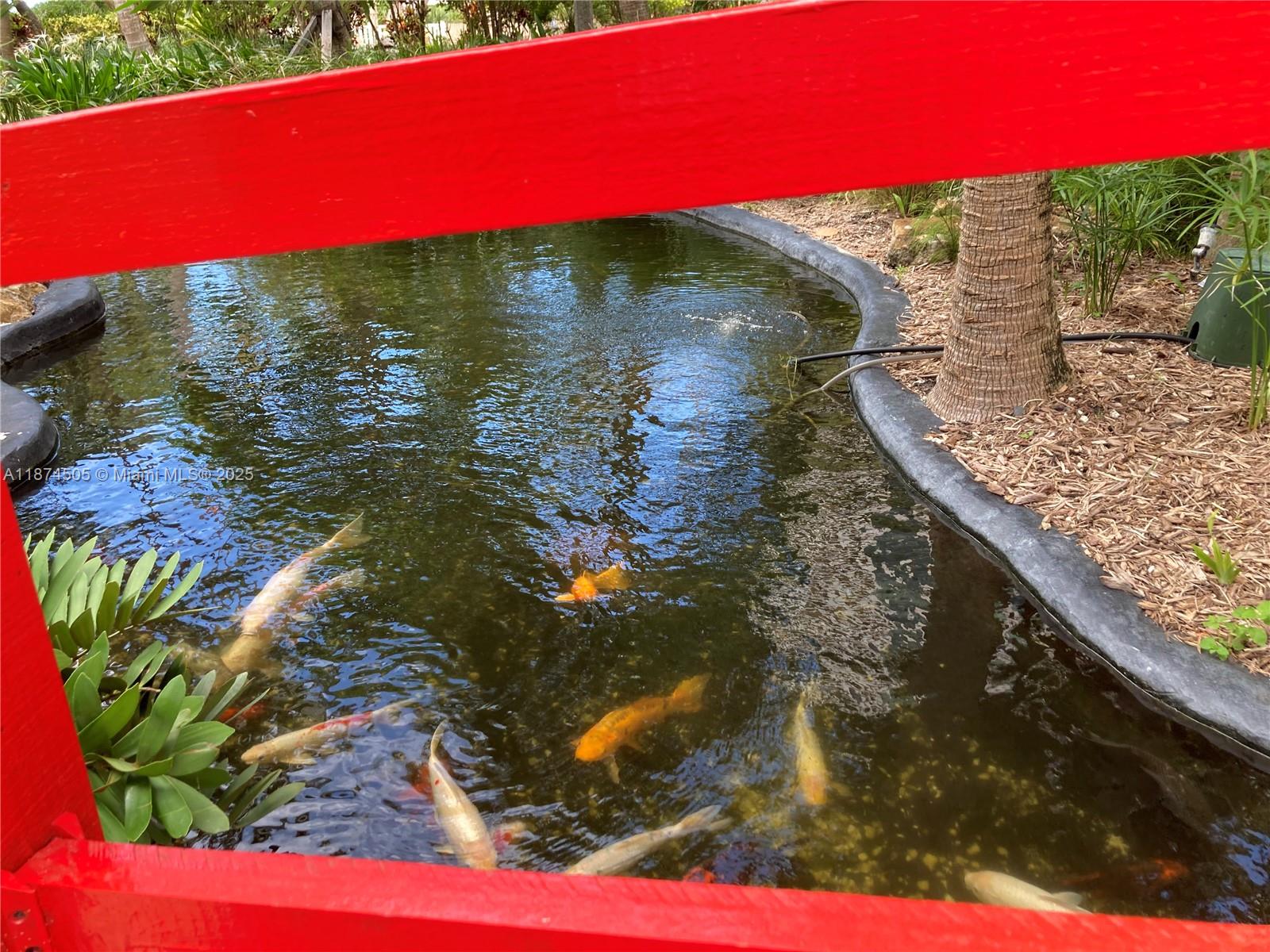 1111 Crandon Boulevard, Unit B606 Key Biscayne, FL 33149 - Photo 28 of 33 a view of a yard with an outdoor space