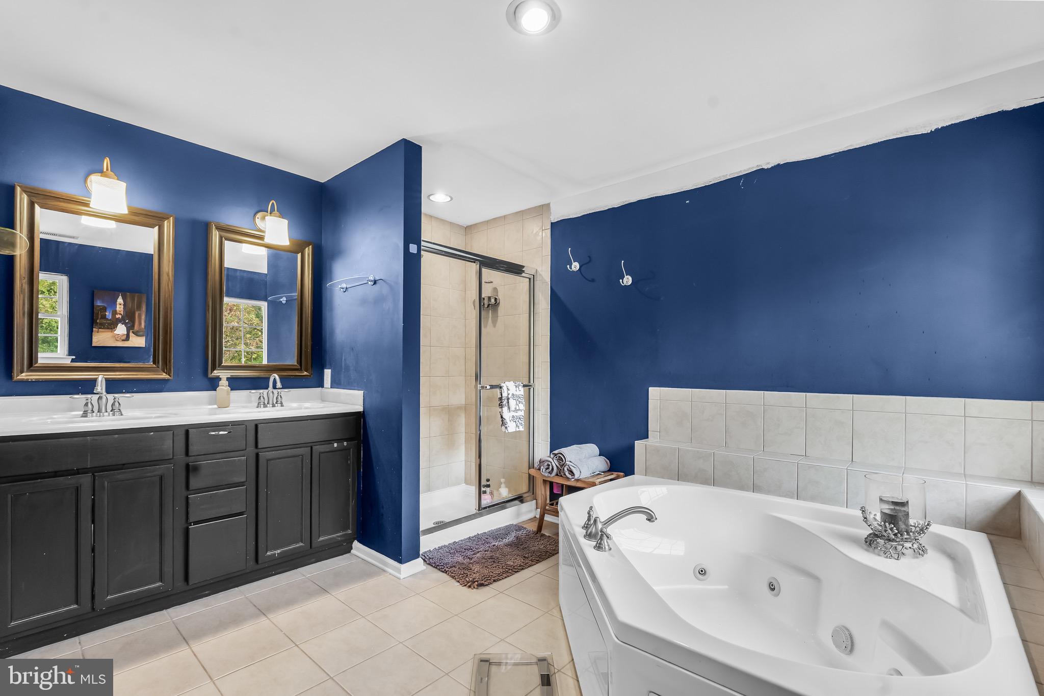 3653 Tuckahoe Road Franklinville, NJ 08322 - Photo 31 of 41 a bathroom with a tub sink and mirror