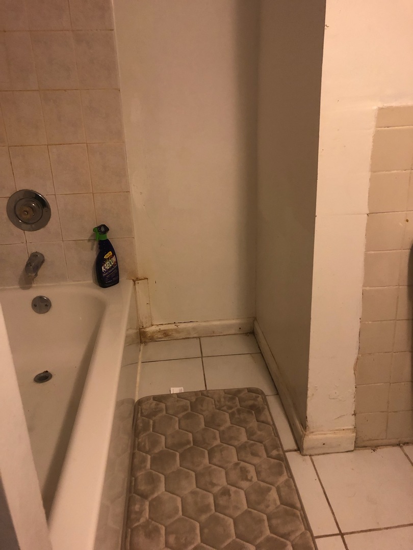 4019 North Tripp Avenue Chicago, IL 60641 - Photo 31 of 31 a bathroom with a bathtub