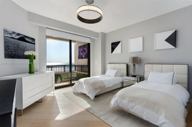 a view of a garden with plants