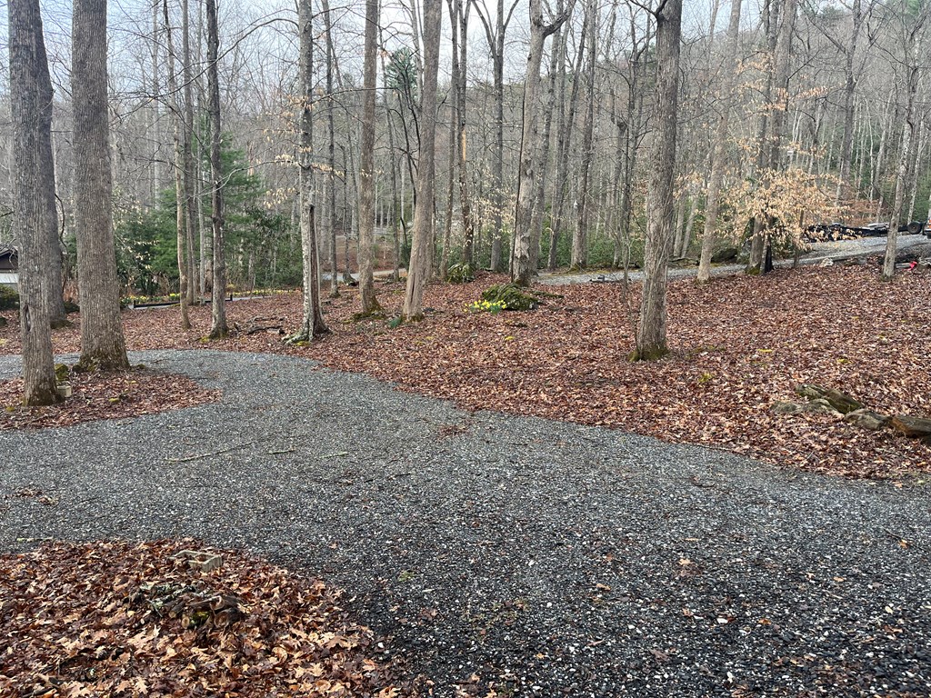 142 Gander Gap Road Hiawassee, GA 30546 - Photo 29 of 34 Gallery Image 29