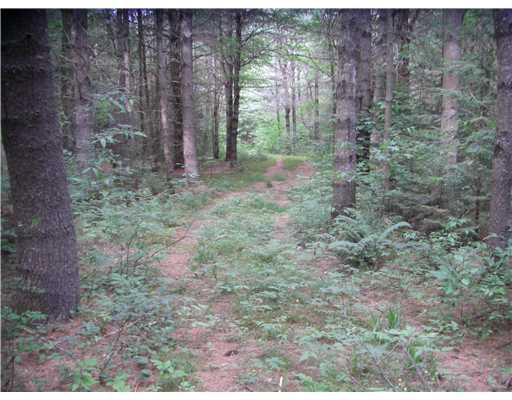 Lot 7 Main Street Sumner, ME 04292 - Photo 1 of 13 Land. Nice 23 acres with 1100 foot...