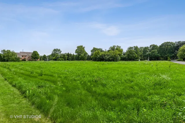 a view of a grassy field with trees in the background