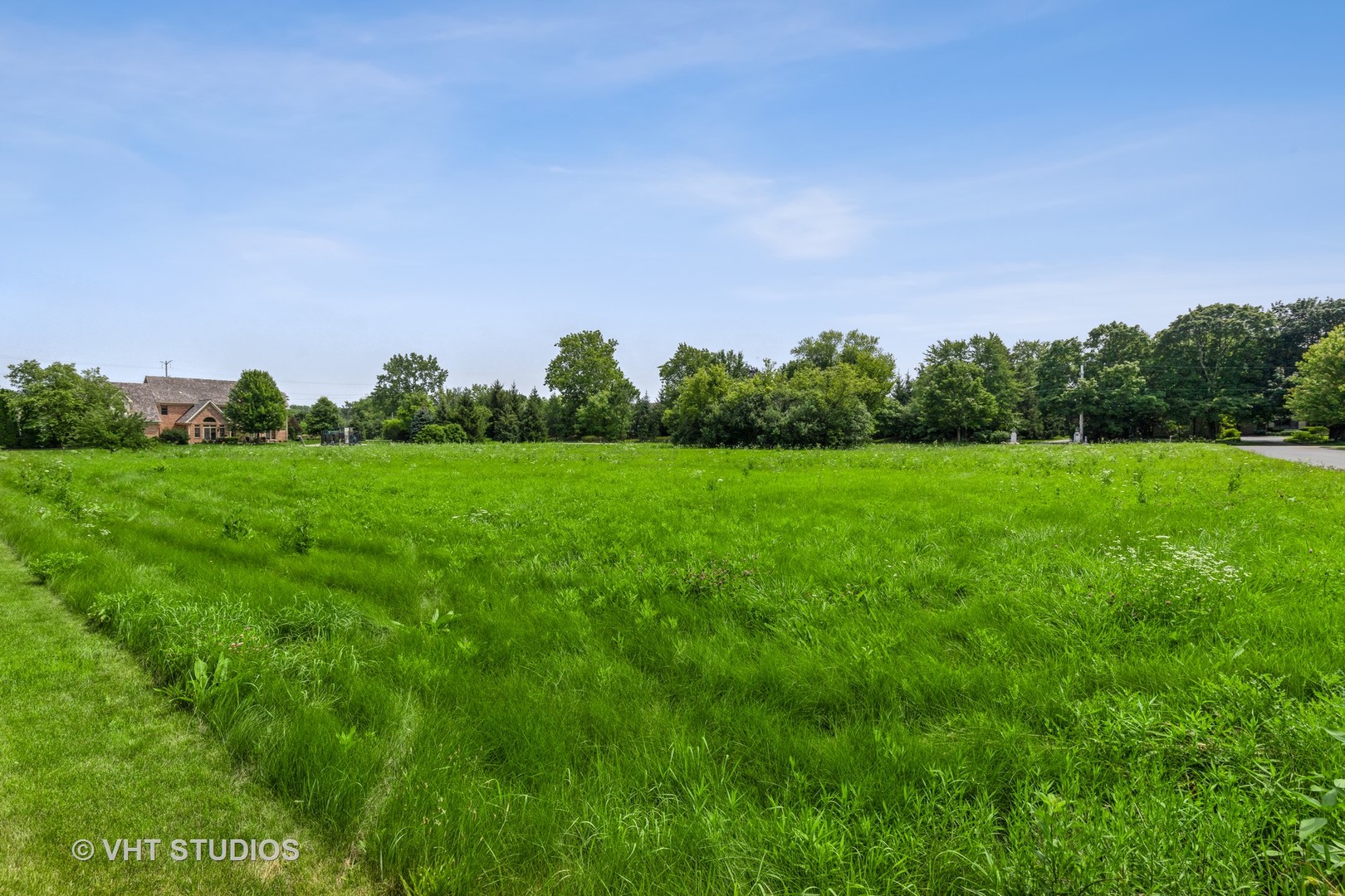 a view of a grassy field with trees in the background