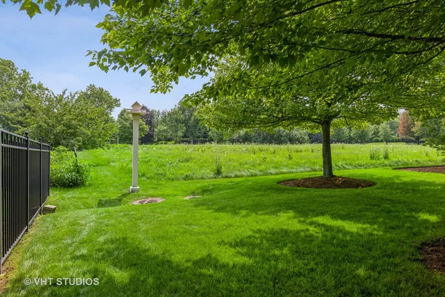 a view of a park with a tree