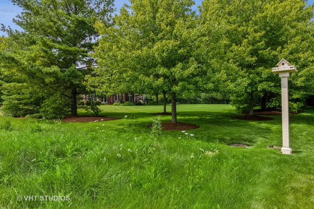 a view of grassy field with benches