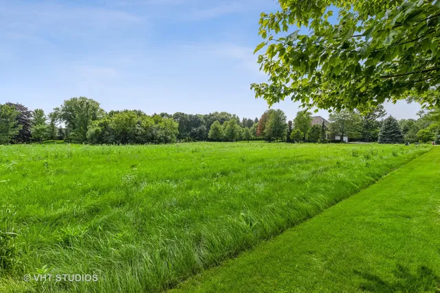 a view of a lush green space