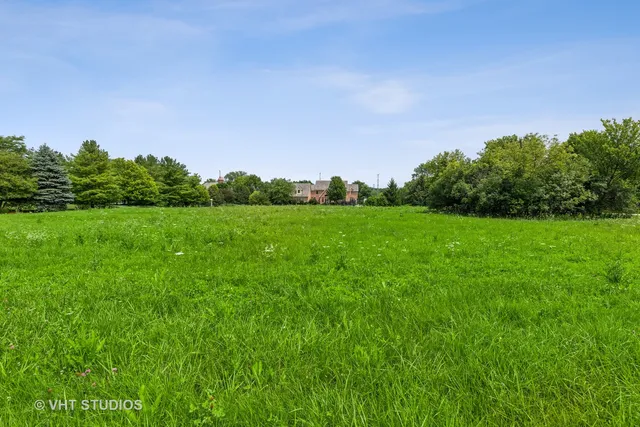 a view of a grassy field with trees