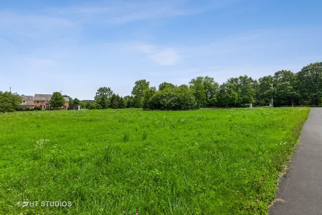 a view of a grassy field