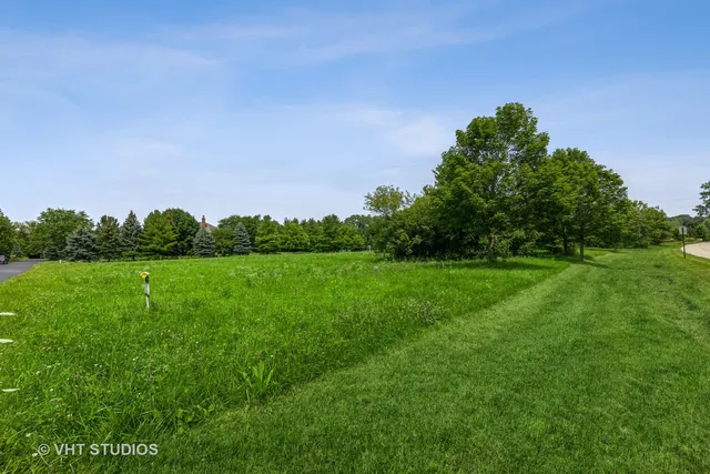 a view of a field with trees in the background