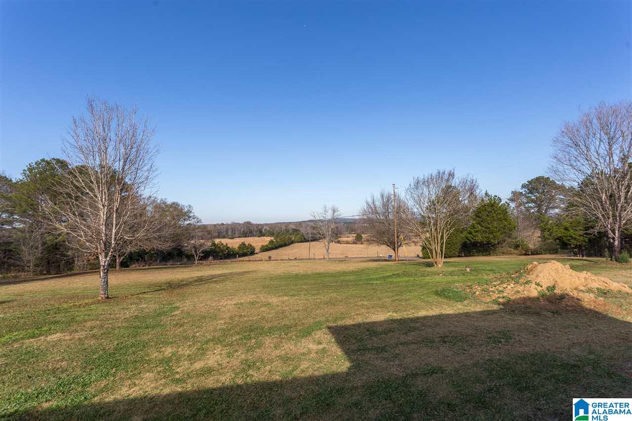 1933 Peaceful Valley Road Eastaboga, AL 36260 - Photo 39 of 40