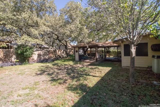 a view of a yard with plants and trees
