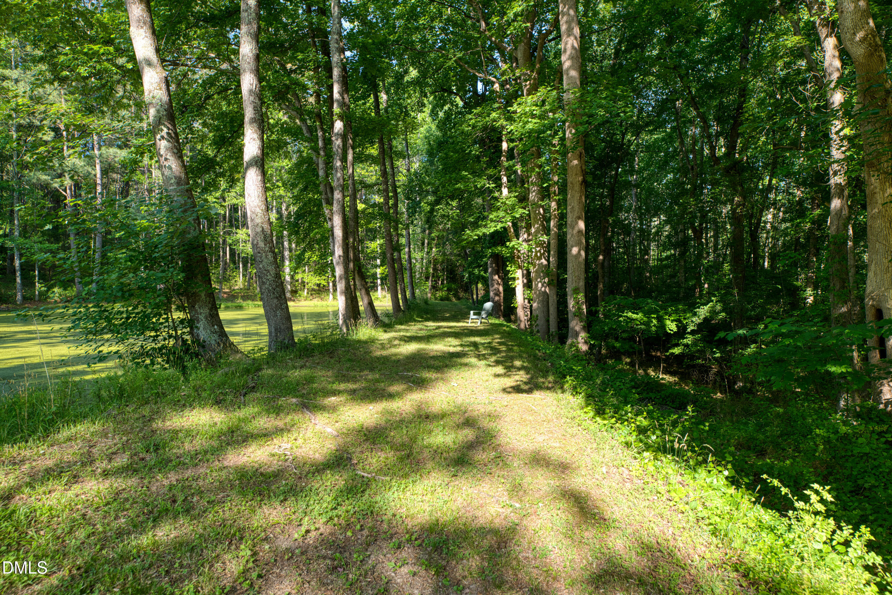 50 Robert Sledge Road Spring Hope, NC 27882 - Photo 32 of 50 a view of backyard with green space