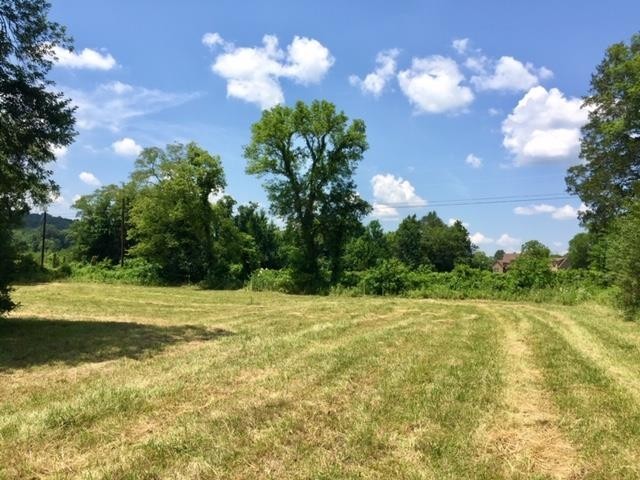 0 Hogwood Road Milton, TN 37118 - Photo 1 of 22 Gallery Image 1