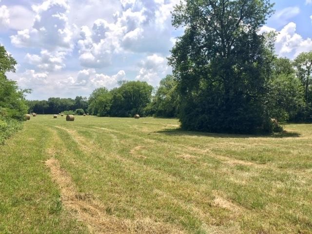 0 Hogwood Road Milton, TN 37118 - Photo 20 of 22 Gallery Image 20