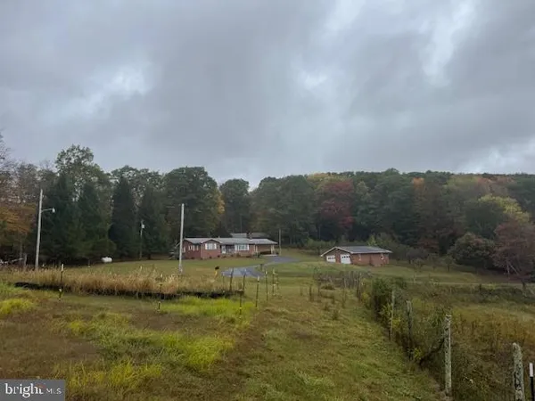 a view of a tree in a yard